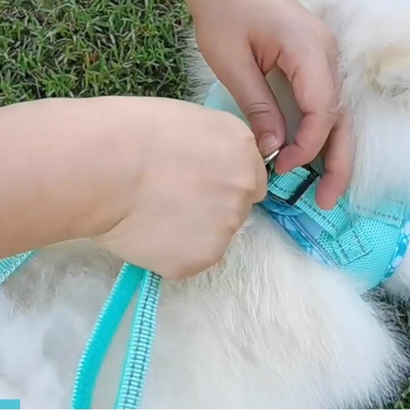 AMTOR MEDIUM DOG HARNESS/LEASH. Reflective Harness. - Picture 5 of 9